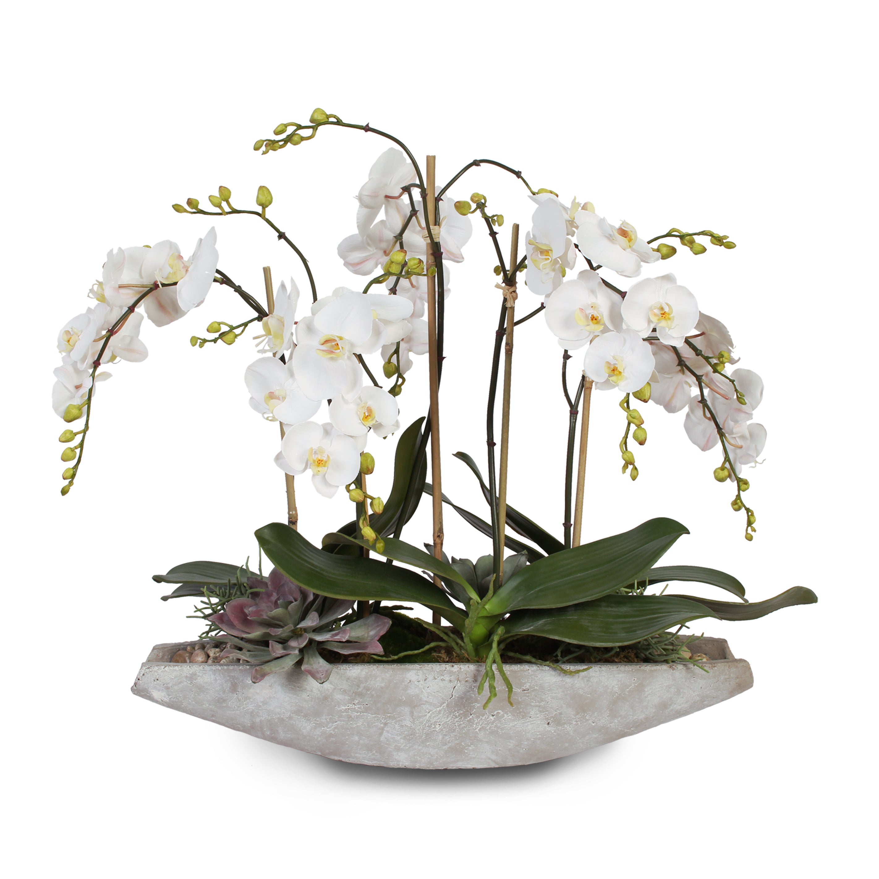 Real Touch White Phalaenopsis  Orchids, Stone Boat Pot