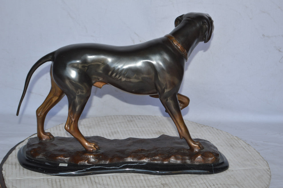 Black Labrador Bronze Statue Mounted on A Marble Size: 20"L x 8"W x 14"H.