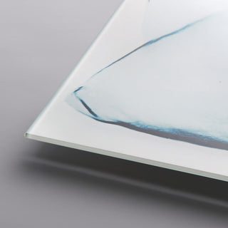 Blue Magnolia X-Ray Flower Wall Art Frameless Free Floating Tempered Glass Panel