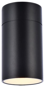 Raine Outdoor Wall Light in Black