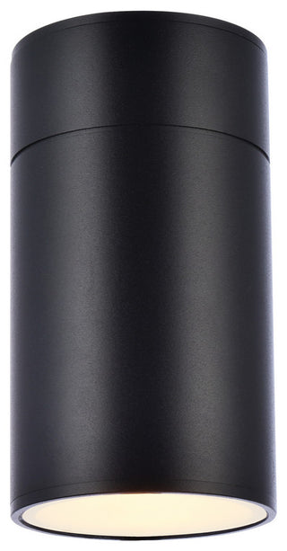 Raine Outdoor Wall Light in Black