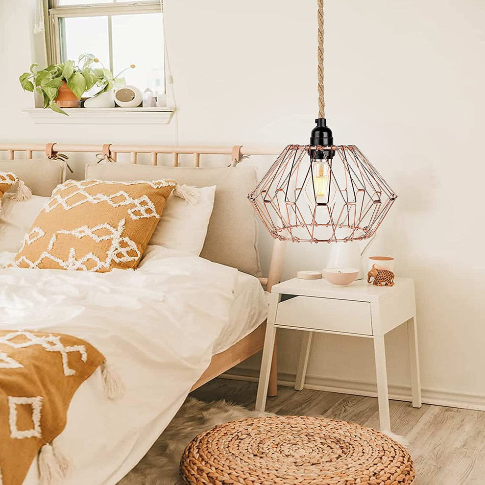 Industrial Rose Lamp Plug In  Light Hanging Kit