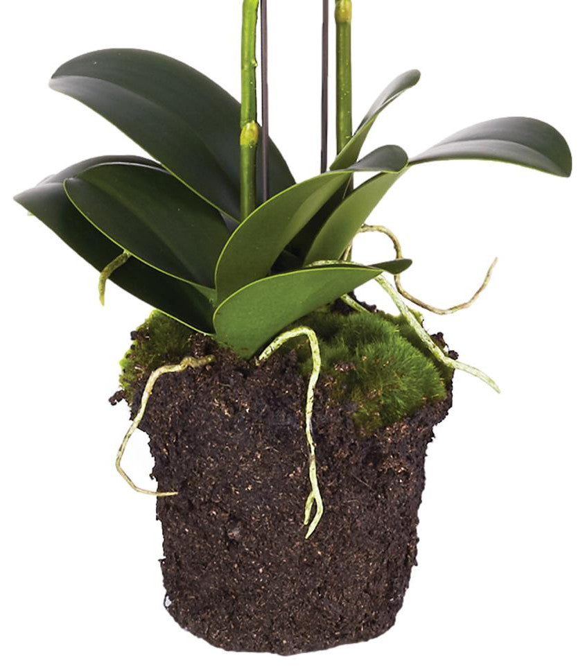 Two Stem White Phalaenopsis Orchid Faux Flower Artificial Plant Drop In