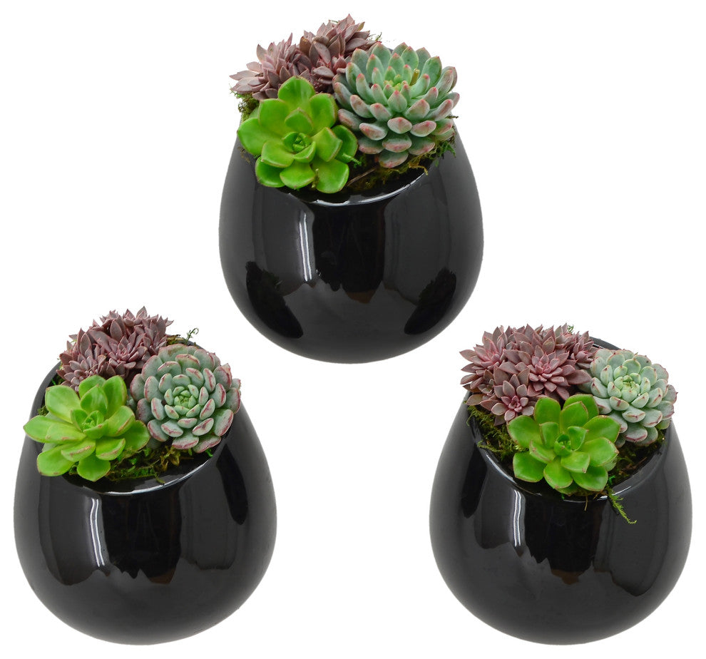 Small Round Wall Planters, Set of 3, Black