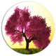 Cherry Blossom In Beautiful Garden, Landscape Round Wall Art, 23"