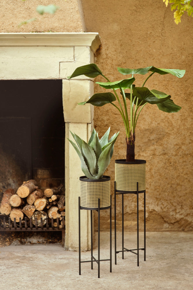 Faux Fan Palm Deco | Emerald Licuala