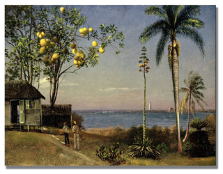 'Tropical Scene' Canvas Art by Albert Biersdant