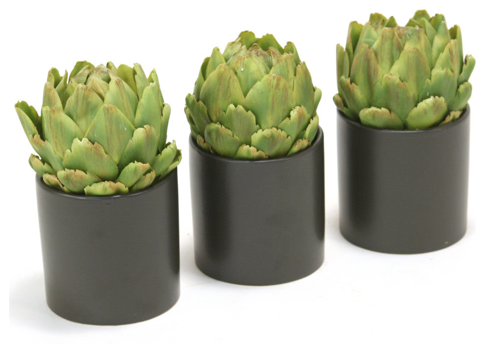 Green Artichokes in Black Circle Pot (Set of 3)