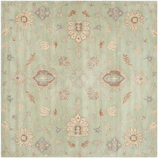 Safavieh Wyndham Wyd202A Rug, Light Green, 7'0"x7'0" Square