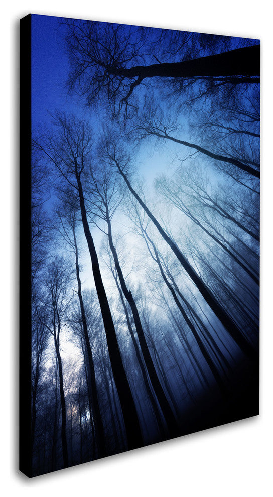 'Blue Forest' Canvas Art by Philippe Sainte-Laudy