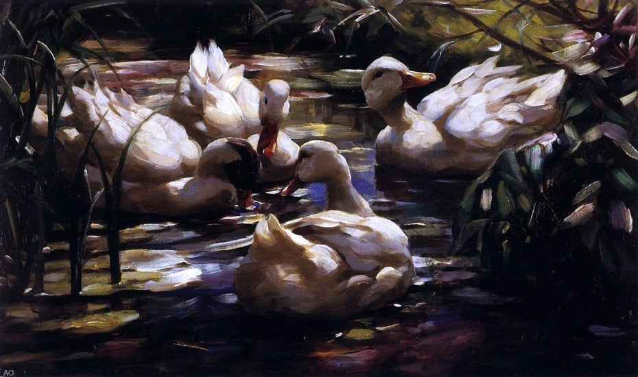 Alexander Koester Ducks in a Forest Pond, 18"x27" Wall Decal