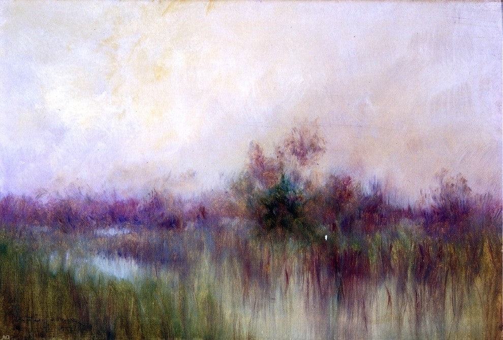 Alexander John Drysdale Early Morning in a Louisiana Marsh Wall Decal