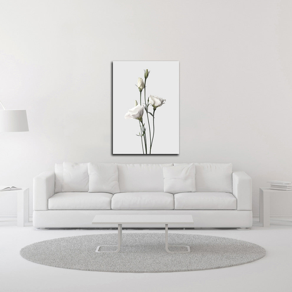 Lisianthus White by Design Fabrikken, Print on Canvas, 20"x28"