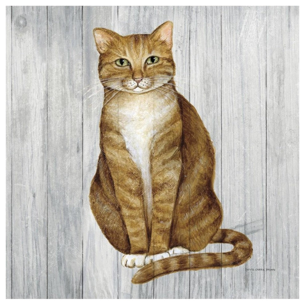 "Country Kitty II on Wood" Digital Paper Print by David Carter Brown, 42"x42"