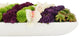 Creative Displays Arrangement, Orchids, Cactus, Sedum, and Mums, White Planter