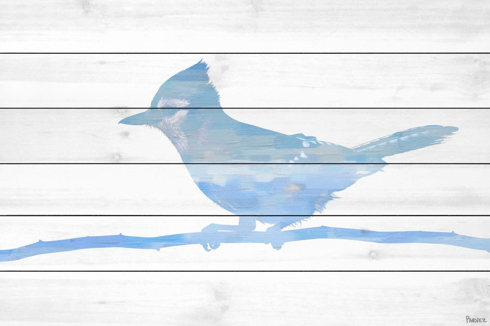 "Snow Jay" Print on White Wood, 36"x24"