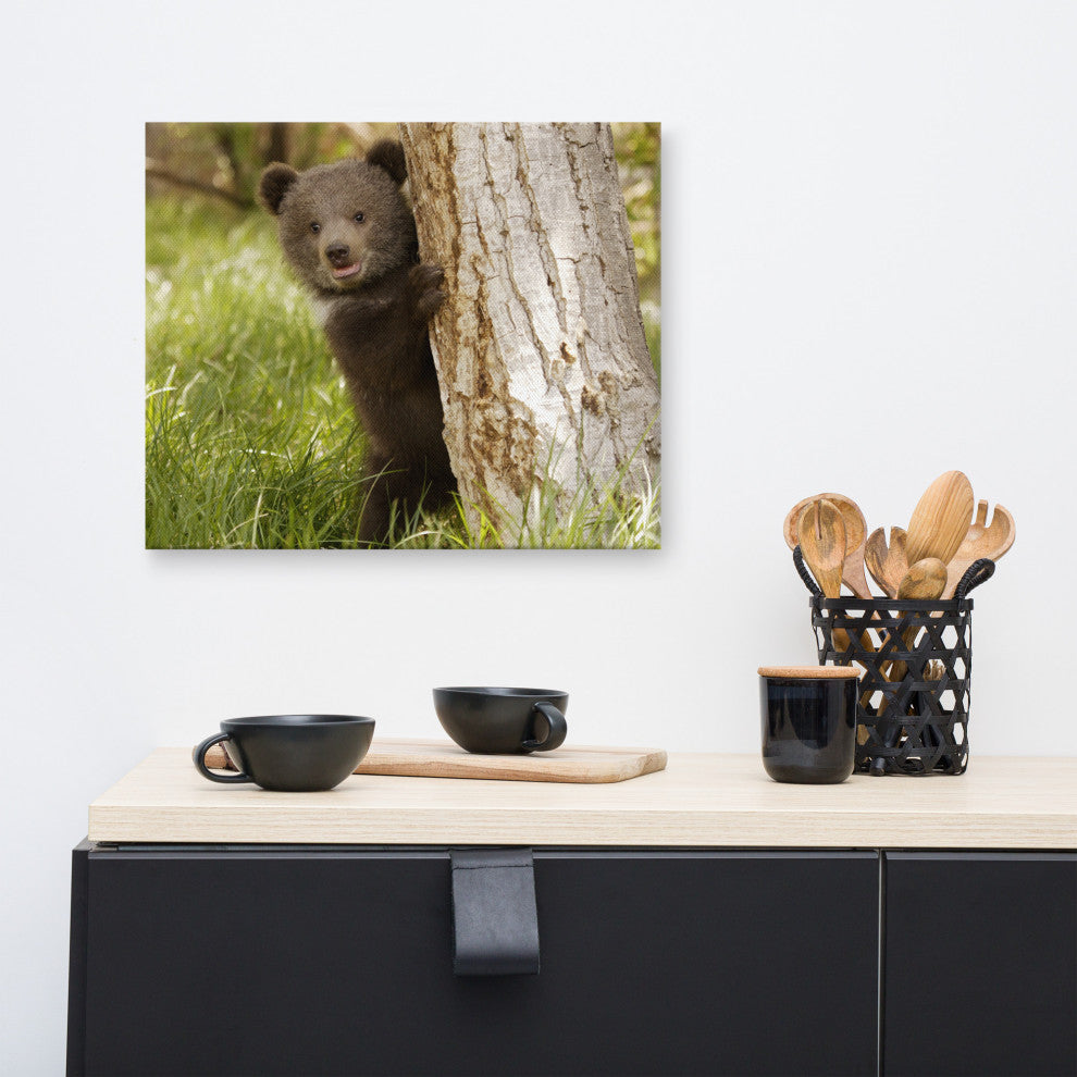 Baby Grizzly Bear Cub Behind Tree In Meadow Wildlife Photo Canvas Wall Art Print, 16" X 20"
