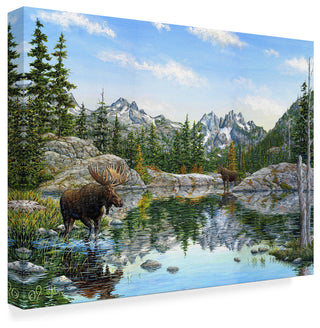 Jeff Tift 'Moose' Canvas Art, 32"x24"