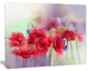 Watercolor Red Poppy Flowers Painting, Large Floral Canvas Artwork, 40"x30"