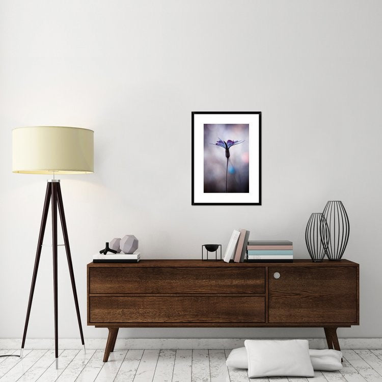 "Sylvidra" Framed Digital Print by Fabien Bravin, 22x30"