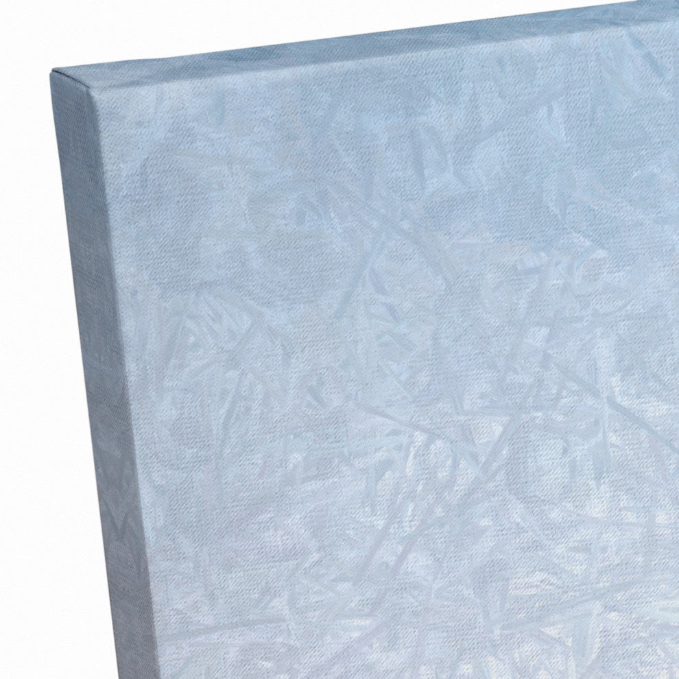 Painty Brown Barn, Field 20x24 Canvas Wall Art