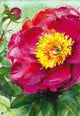 Studio M Peony Garden Flag