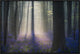 Velvet Light, 30"x20"
