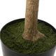 Coles Artificial Money Tree, Green, 35.4wx31.5dx70.9h