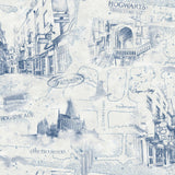 Harry Potter Map Peel & Stick Wallpaper