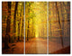 "Pathway in Green Autumn Forest" Photo Metal Wall Art, 3 Panels, 36"x28"