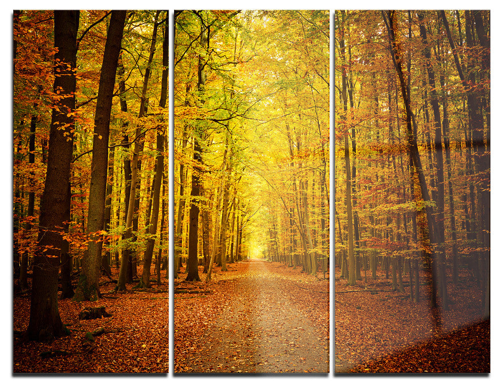 "Pathway in Green Autumn Forest" Photo Metal Wall Art, 3 Panels, 36"x28"