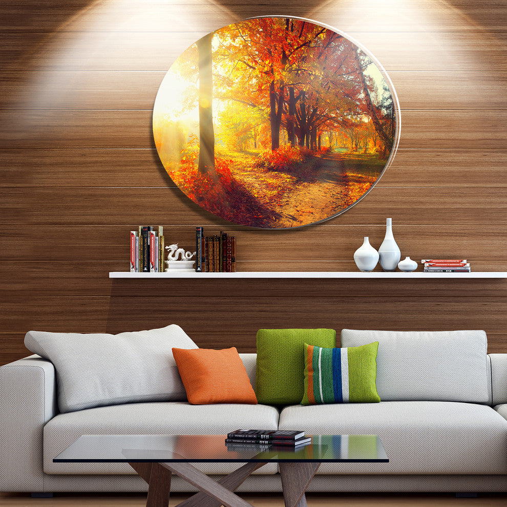 Autumnal Trees In Sunrays, Landscape Art Round Metal Wall Art, 11"