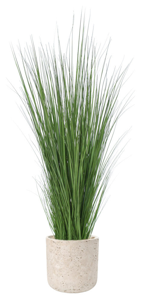 Grass in Grey Wash Pot