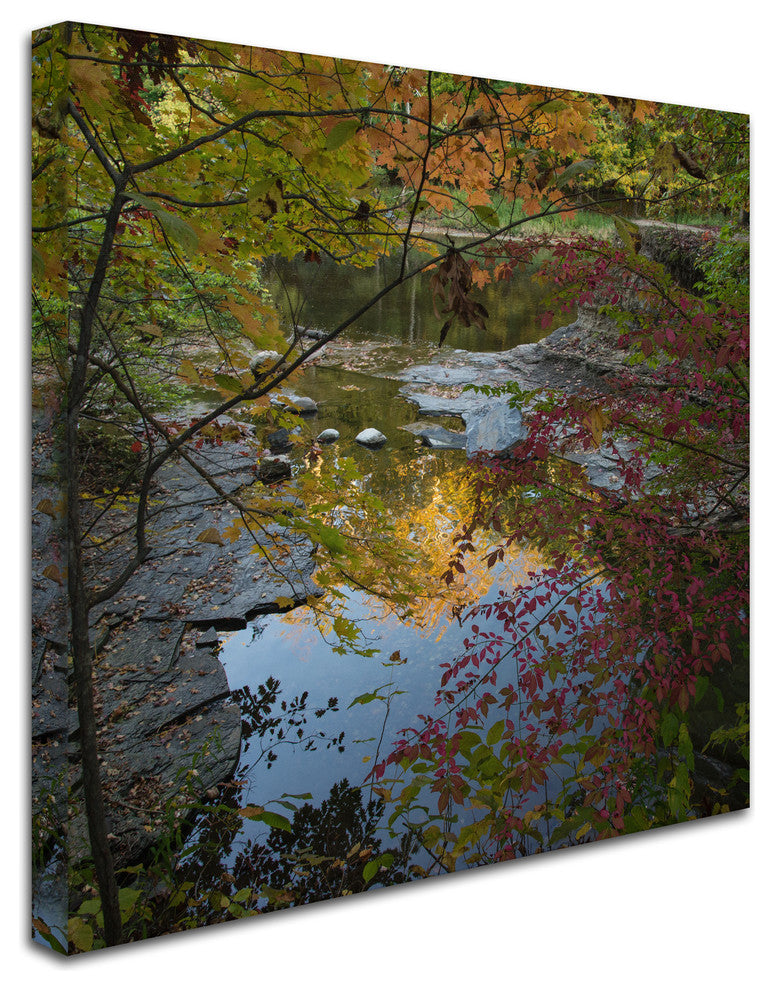 ''Why I Love Autumn 3'' Canvas Art by Kurt Shaffer