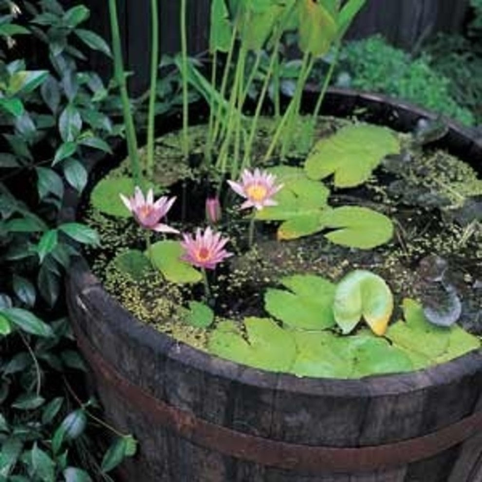 Water Tight Shallow Wine Barrel Planter, 17"h
