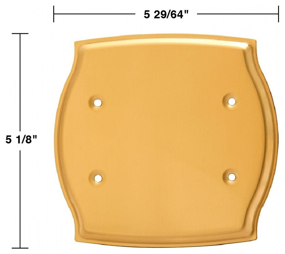 Switchplate Bright Solid Brass Double Blank |