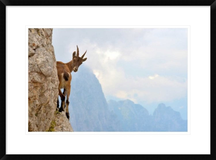 "Suspense" Framed Digital Print by Stefano Zocca, 30x22"