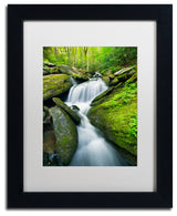 Michael Blanchette 'Cascade Mossy Rocks' Art, Black Frame, White Mat, 14x11