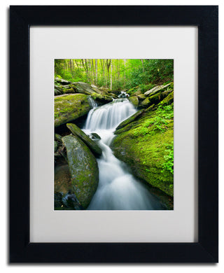 Michael Blanchette 'Cascade Mossy Rocks' Art, Black Frame, White Mat, 14x11