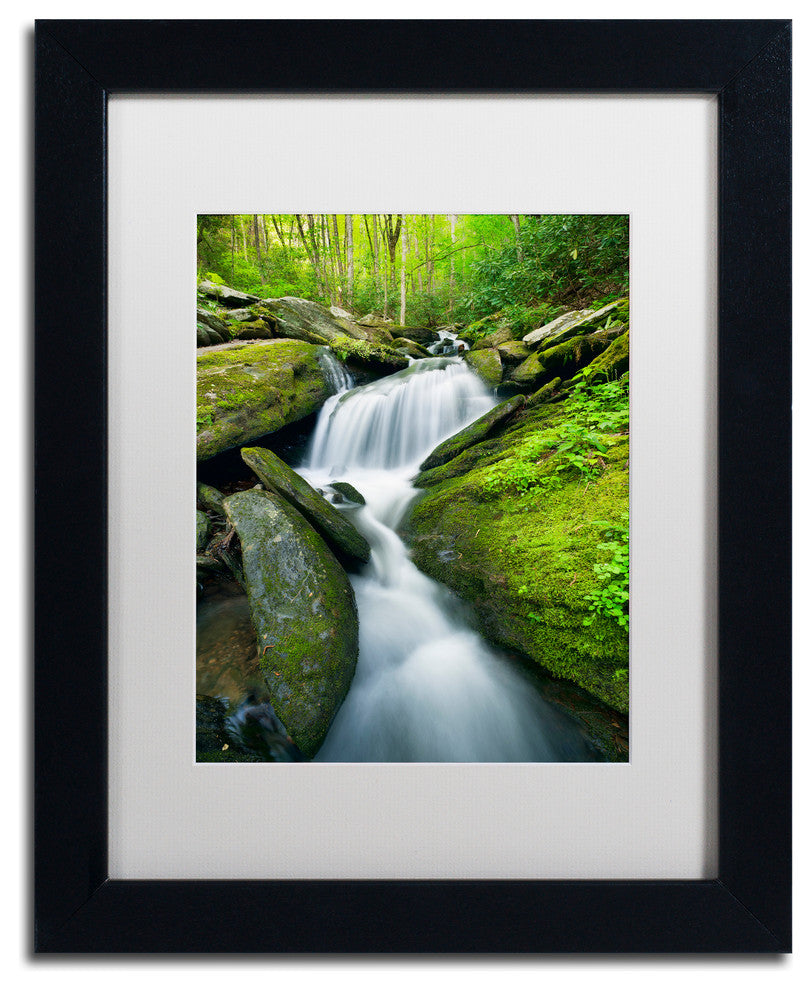 Michael Blanchette 'Cascade Mossy Rocks' Art, Black Frame, White Mat, 14x11