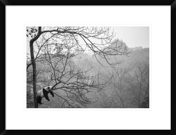 "Relax" Framed Digital Print by Alessandro Catta, 26"x20"