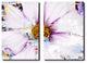 Painted Petals LXXXII Canvas Art, 2-Piece Set