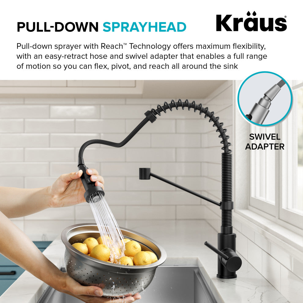 Bolden Commercial Style Pulldown Kitchen Faucet and Water Filter Faucet MB