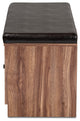Valina Faux Leather Upholstered 2-Door Wood Shoe Storage Bench with Screen Inser