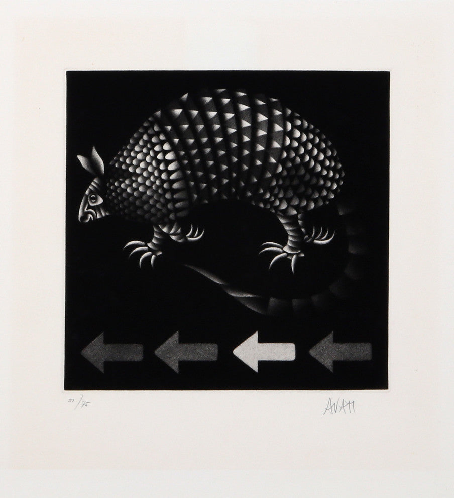 Mario Avati "Armadillo" Mezzotint