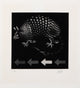 Mario Avati "Armadillo" Mezzotint