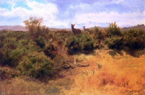 Rosa Bonheur Stag and Doe in a Landscape, 18"x27" Gallery Wrapped Canvas