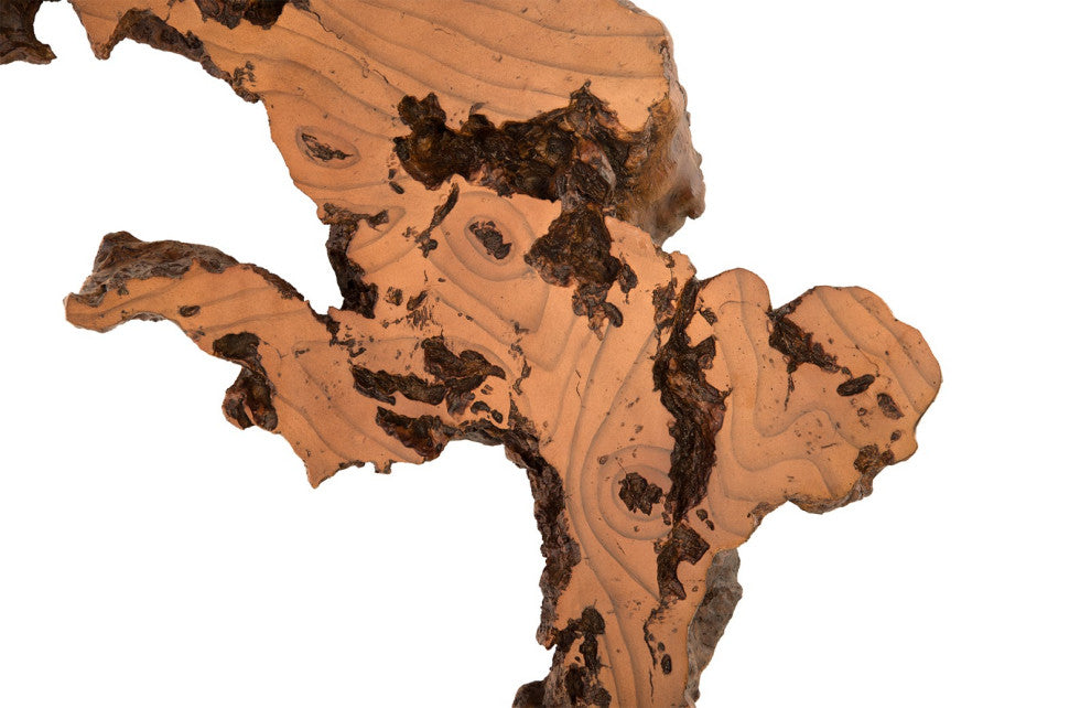 Burled Root Wall Art, Faux Bois