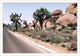 Desert Landscape 4, Giclee Reproduction Artwork