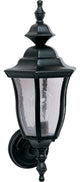 Madrona Cast 1-Light Outdoor Wall Lantern, Black